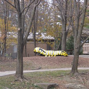 BPZ - Outdoor exhibits, grounds