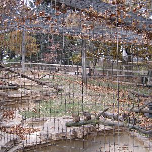 BPZ - Outdoor exhibits, grounds