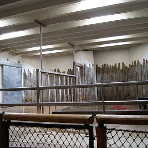 Mimi and Doly's indoor building