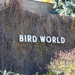 Bird World Sign