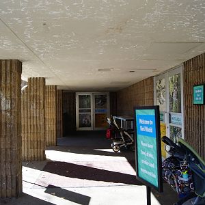 Entrance and exit hall to Bird World