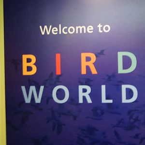 Welcome to Bird World Sign