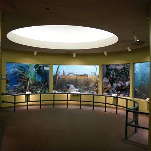 Bird World Entrance Hall