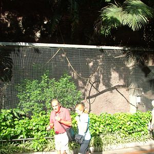 The First Aviary at Loro Parque, 08/11/10