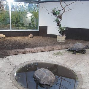 Turtle House nov 2010