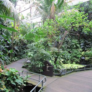 America House july 2010