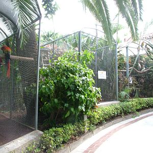 Rearing Aviaries at Loro Parque, 08/11/10