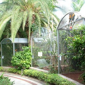 Rearing Aviaries at Loro Parque, 08/11/10