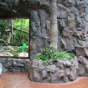 Jaguar Exhibit at Loro Parque, 08/11/10