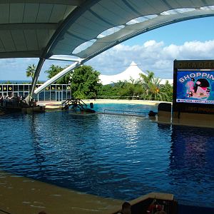 OrcaOcean Stadium at Loro Parque, 08/11/10