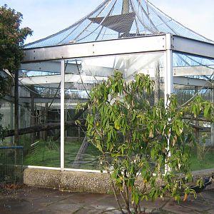 Pileated Gibbon Enclosure.