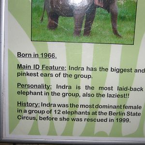 Indra Information Sheet.