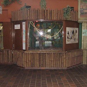 Gray Mouse Lemur Enclosure.
