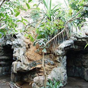 Rainforest Interior - Large Waterfall