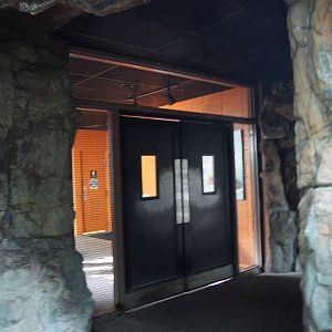 Rainforest Interior - Cave to Door