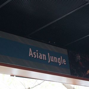 Asian Jungle Sign