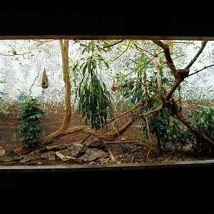 Asian Jungle Exhibit