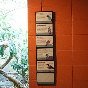 Asian Jungle - Bird Signs