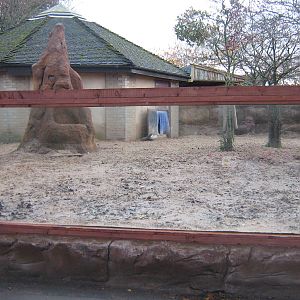 Aardvark Outdoor Enclosure.