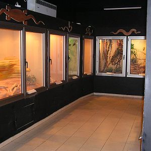 Inside of Reptile House