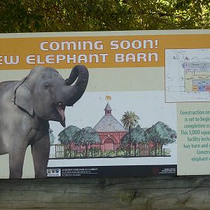 New Elephant Barn
