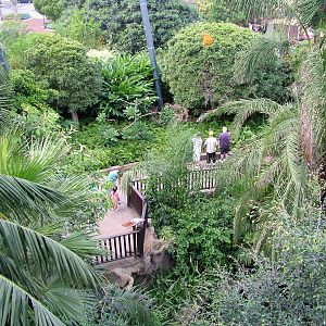 Katandra Treetops at Loro Parque, 08/11/10