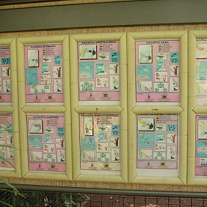 Cockatoo Aviary labels at Loro Parque, 08/11/10