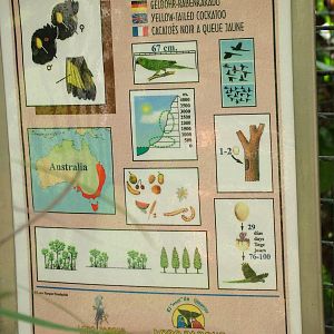 Signage Example at Loro Parque, 08/11/10