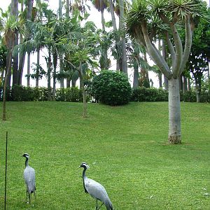 Gardens at Loro Parque, 08/11/10