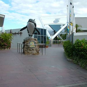 Orca Ocean entrance at Loro Parque, 08/11/10