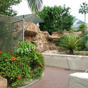Tiger viewing at Loro Parque, 08/11/10