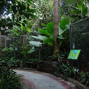 Aviaries at Loro Parque, 08/11/10