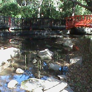 Otter enclosure 211010