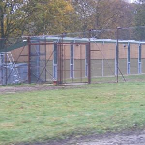 New lion house at Woburn Safari Park, 14 November 2010