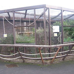 Emperor Tamarin And White Faced Saki Enclosure.