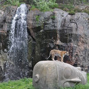Tiger World Kolmarden Wildlife Park