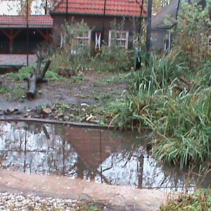 Dutch Wetlands Aviary 061110