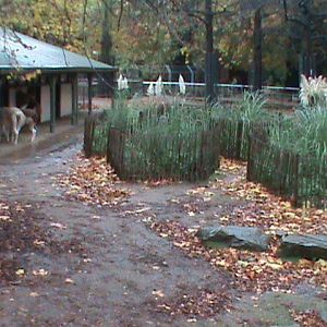 South American enclosure 061110
