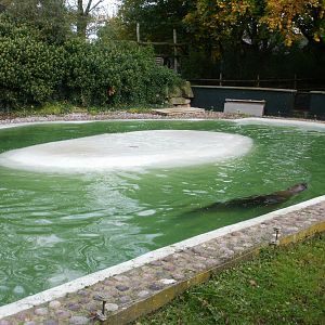 Tywcross - 28.10.2010