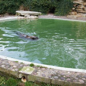 Tywcross - 28.10.2010