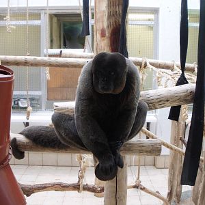 Twycross - 28.10.2010