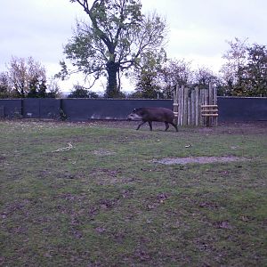 Twycross - 28.10.2010
