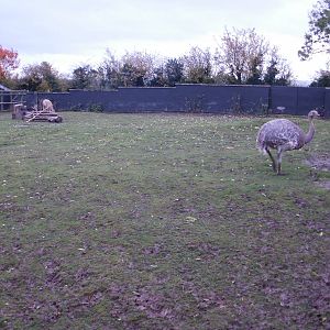 Twycross - 28.10.2010