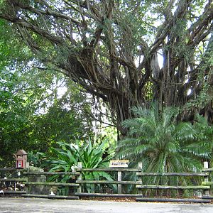 PBZ - Entrance, Grounds, Misc.