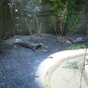 PBZ - Entrance, Grounds, Misc.