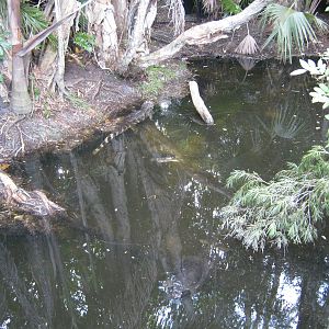 PBZ - Misc. animal exhibits