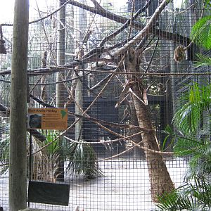 PBZ - Misc. animal exhibits