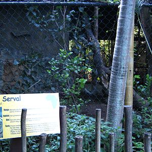 PBZ - Misc. animal exhibits