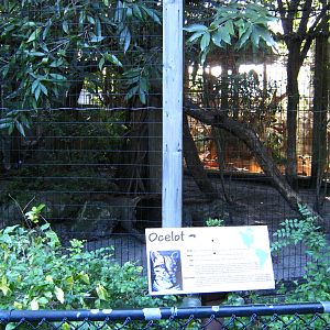 PBZ - Misc. animal exhibits