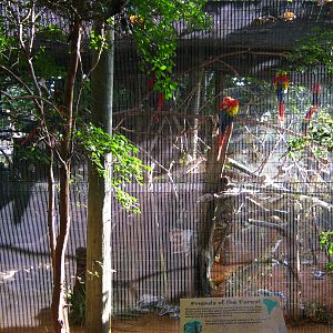 PBZ - Misc. animal exhibits